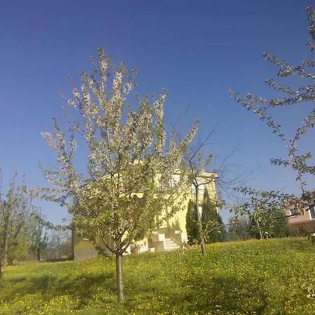 Ivanka * Читлук